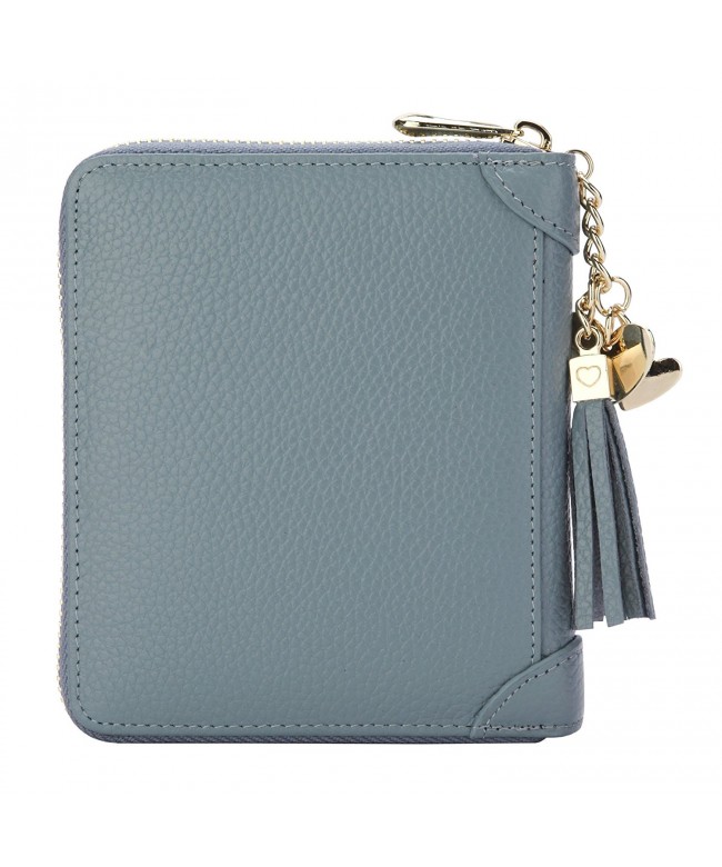 SafeCard Women's Credit Card Case Wallet 2 ID Window and Zipper Card ...